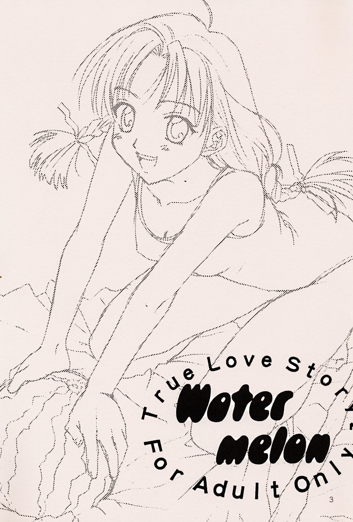 (C56) [ZOKU (Nikaidou Mitsuki)] Water Melon (True Love Story 2) page 2 preview
