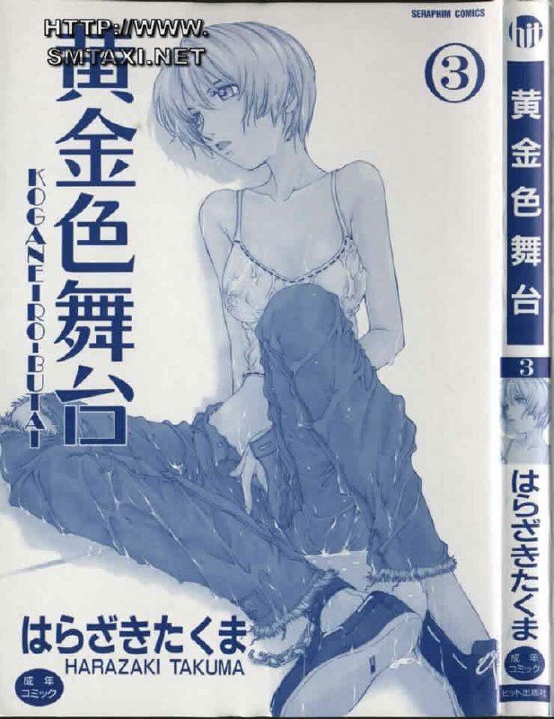 [Harazaki Takuma] Koganeiro Butai 3 [Chinese] page 3 preview