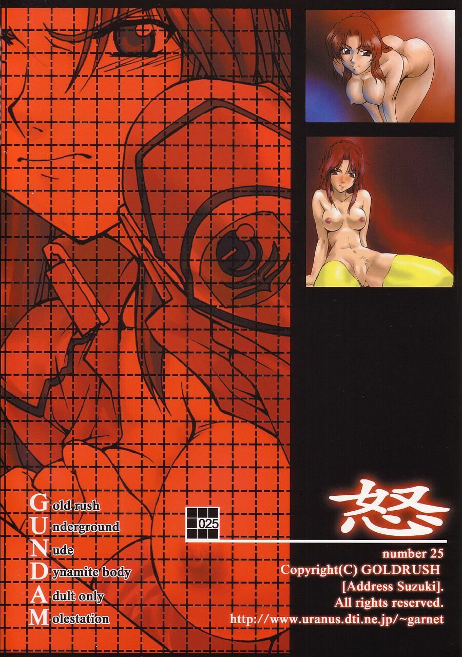 (C64) [GOLD RUSH (Suzuki Address)] Emotion (Ikari) (Gundam SEED) page 2 preview