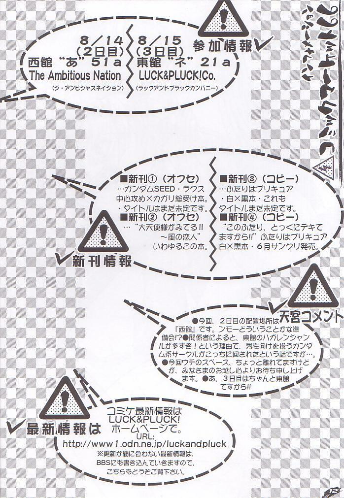 (C66) [LUCK&amp;PLUCK!Co. (Amanomiya Haruka)] Archangel ga Miteru 2 ~Kaze no Koibito~ (Gundam Seed) page 12 preview