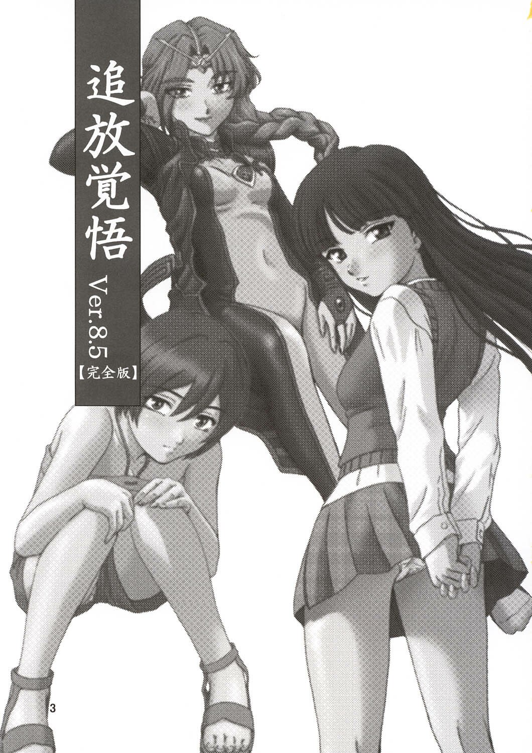(C64) [Oretachi Misnon Ikka (Misnon the Great, Misnon Blue)] Thuihou-Kakugo Ver 8.5 -Perfect Edition- (Seikai no Senki, Gad Guard, RahXephon) page 5 preview