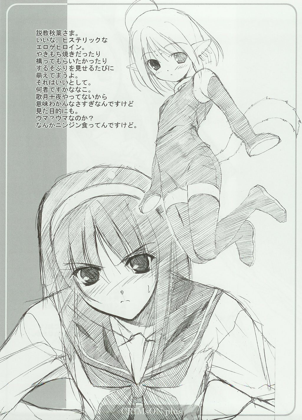 (C65)  CRIMsON plus (Tsukihime) page 12 preview