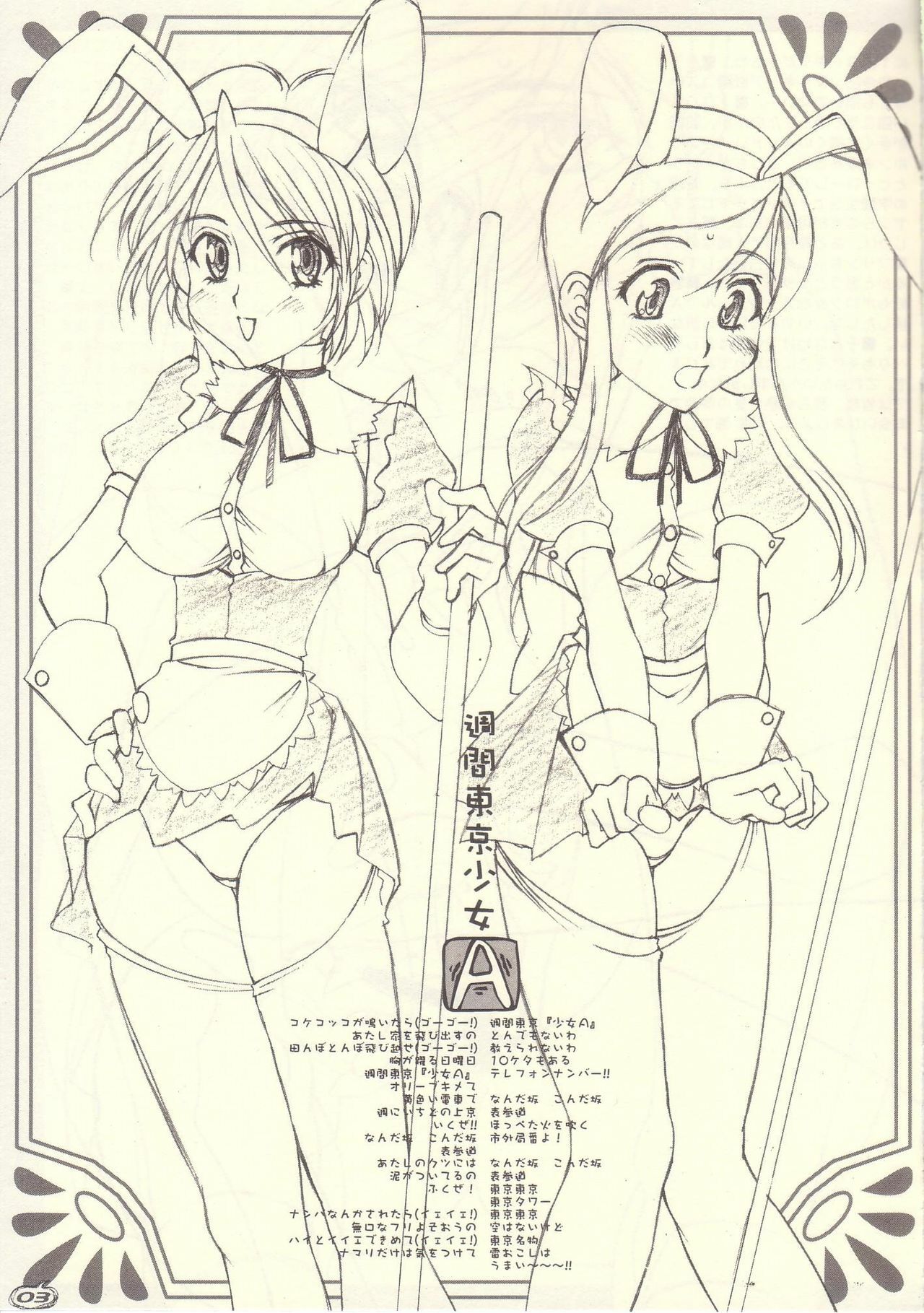 (C66) [Luck &amp; Pluck! Co. (Amanomiya Haruka)] Shuukan Toukyou Shoujo Aa (Pretty Cure) page 3 preview