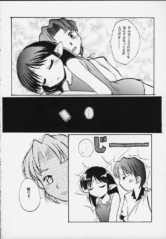 (SC8) [Sueya (Sue)] Lafiel-sama to Yobu ga Yoi!!! (Seikai no Senki) page 6 preview