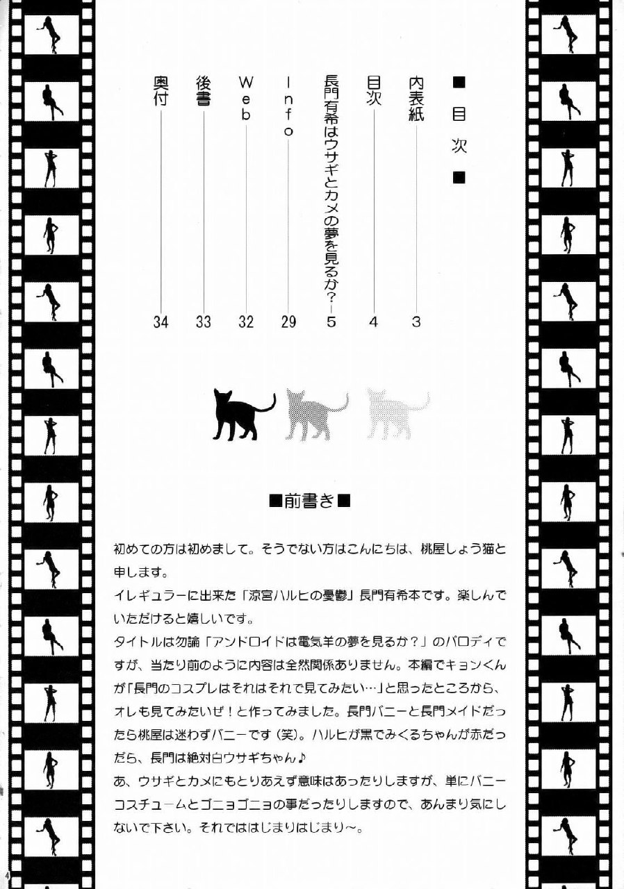 (C71) [U.R.C (Momoya Show-Neko)] Nagato Yuki wa Usagi to Kame no Yume o Miru ka? | Nagato Yuki Dreamt of "The Tortoise and The Hare"? (Suzumiya Haruhi no Yuuutsu) [English] [maxt] page 3 preview