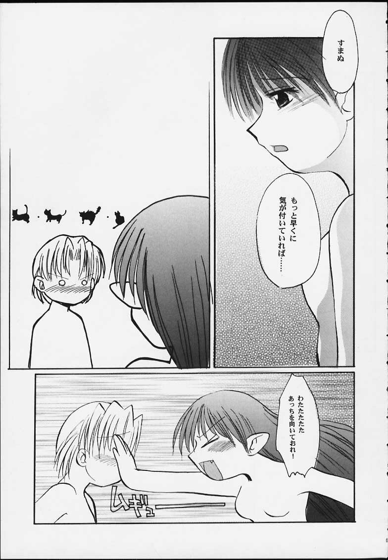(CR28) [Sueya (Sue)] Lafiel-sama to Yobu ga Yoi!!!!! (Seikai no Senki) page 12 preview