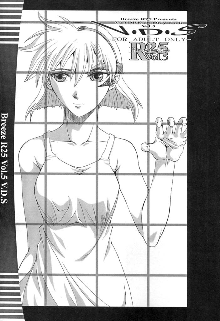 (C61) [BREEZE (Haioku)] R25 Vol.5 V.D.S (Vandread) page 2 preview