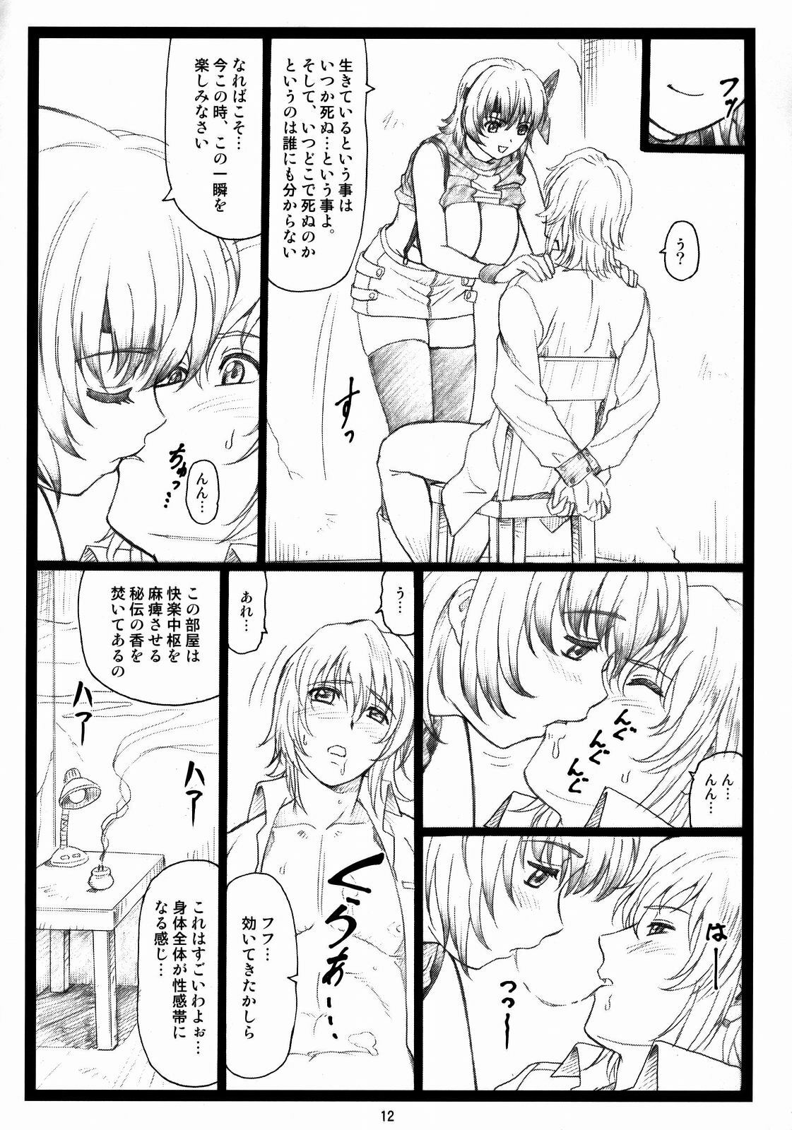 (C73) [Ohkura Bekkan (Ohkura Kazuya)] Haitoku no Yakata ~Ayane to Kokoro~ (Dead or Alive) page 11 preview