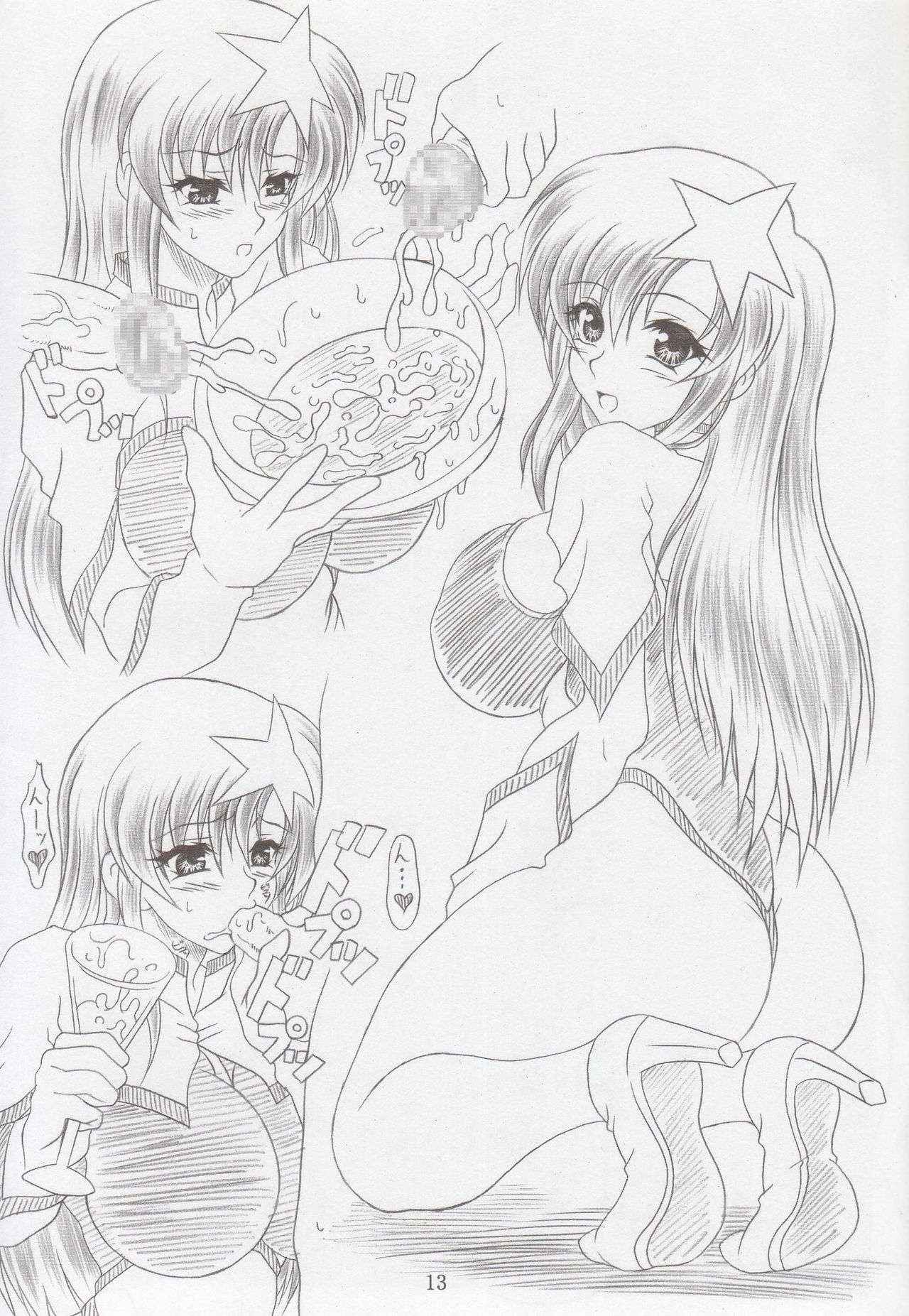 (C69) [INSERT (KEN)] Chichi-hime (Gundam SEED DESTINY) page 12 preview