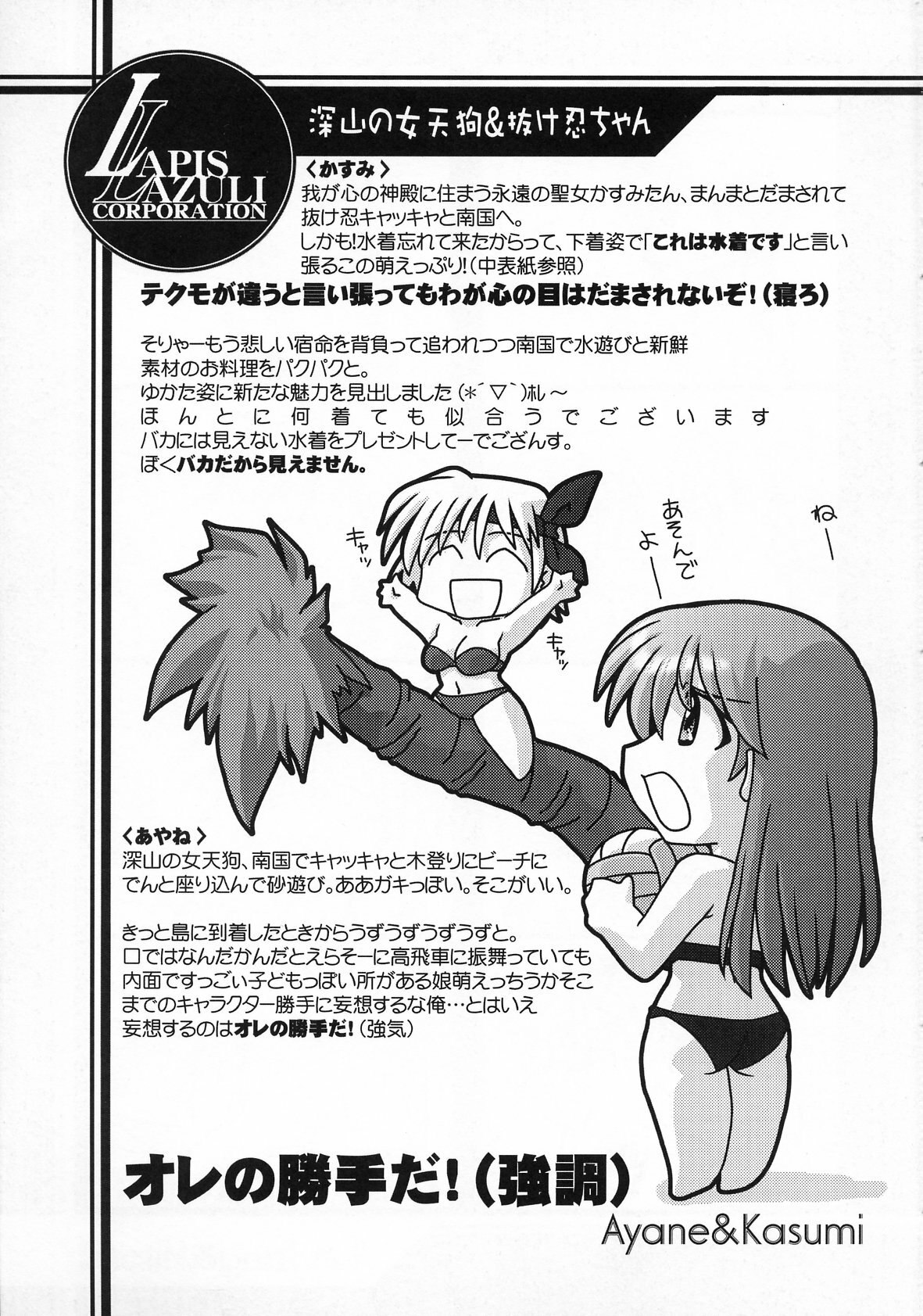 (C63) [UA Daisakusen (Harada Shoutarou)] Ruridou Gahou CODE:19 (Dead or Alive) page 7 preview