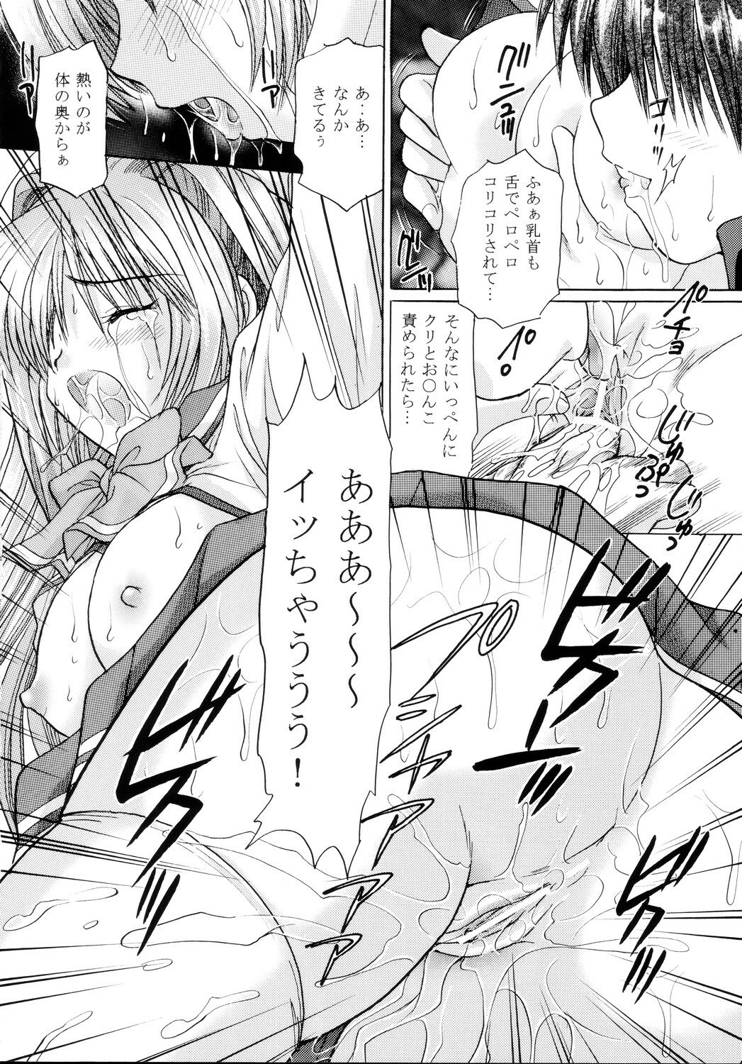 (C69) [Tom Tom (Yuzupon)] To Heart2 Zettai Zetsumei Tama-nee Ryoujoku-hen (To Heart2) page 12 preview