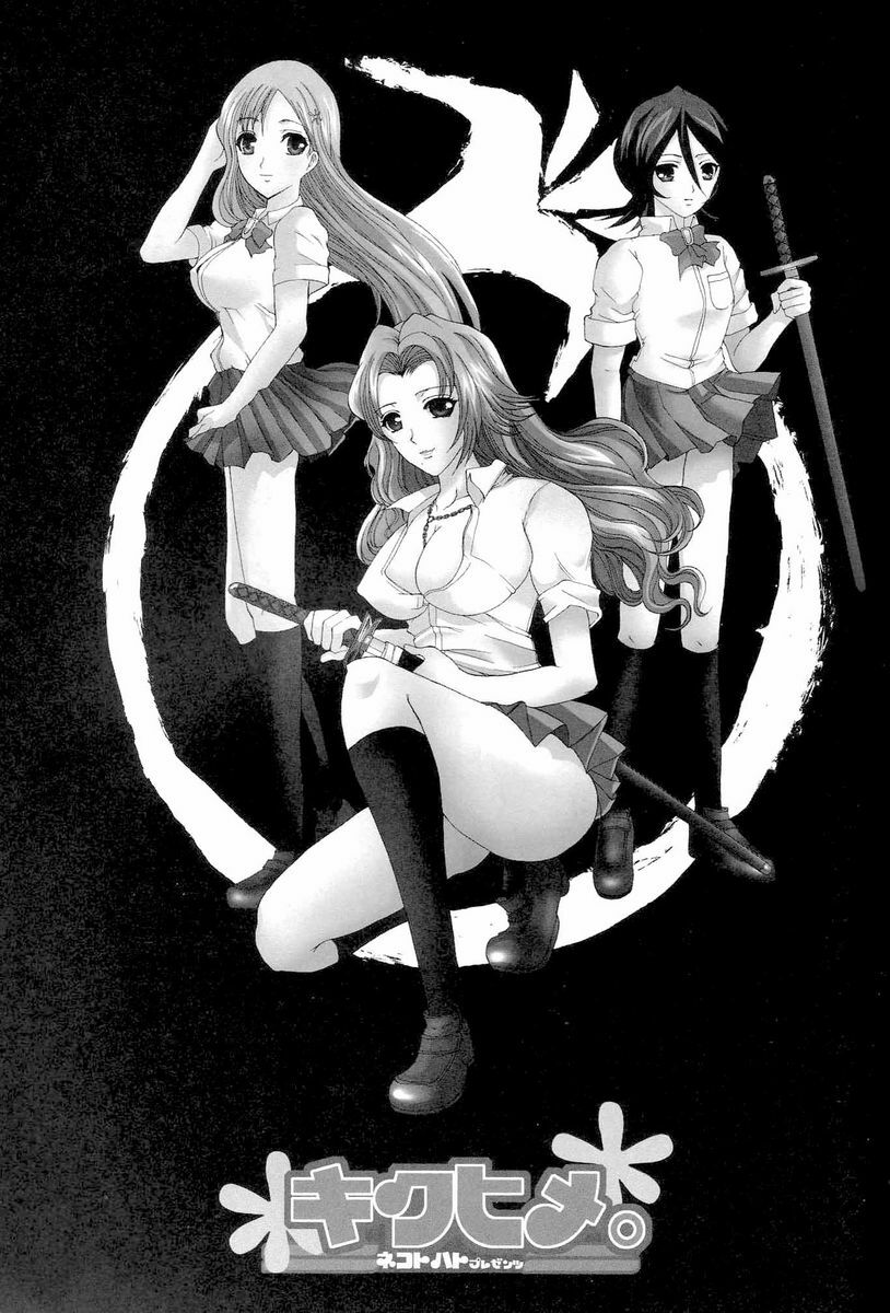 (Kyonyuukko 4) [Neko to Hato (Hatoya Mameshichi)] Kiku Hime. (BLEACH) page 2 preview