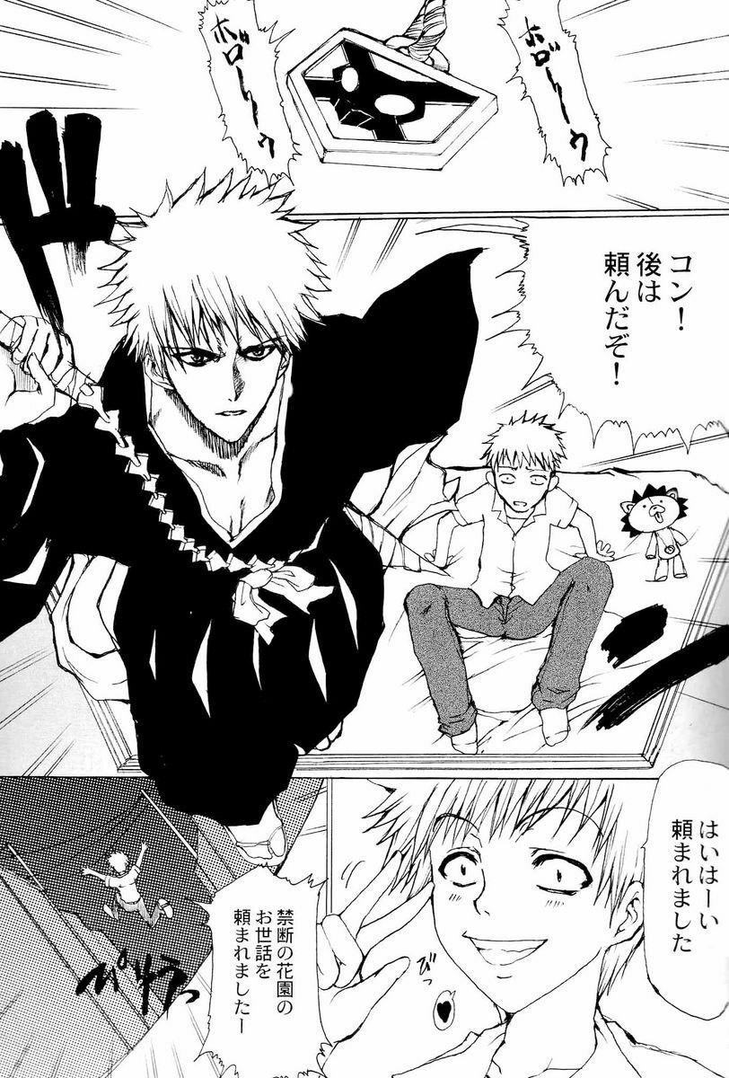 (Kyonyuukko 4) [Neko to Hato (Hatoya Mameshichi)] Kiku Hime. (BLEACH) page 4 preview