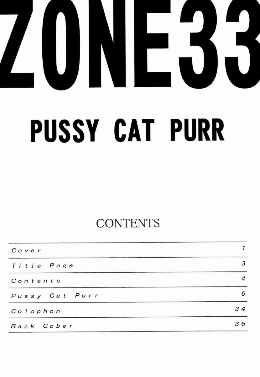 (C70) [Circle Taihei-Tengoku (Towai Raito)] Zone 33 PUSSY CAT PURR (Bleach) page 3 preview