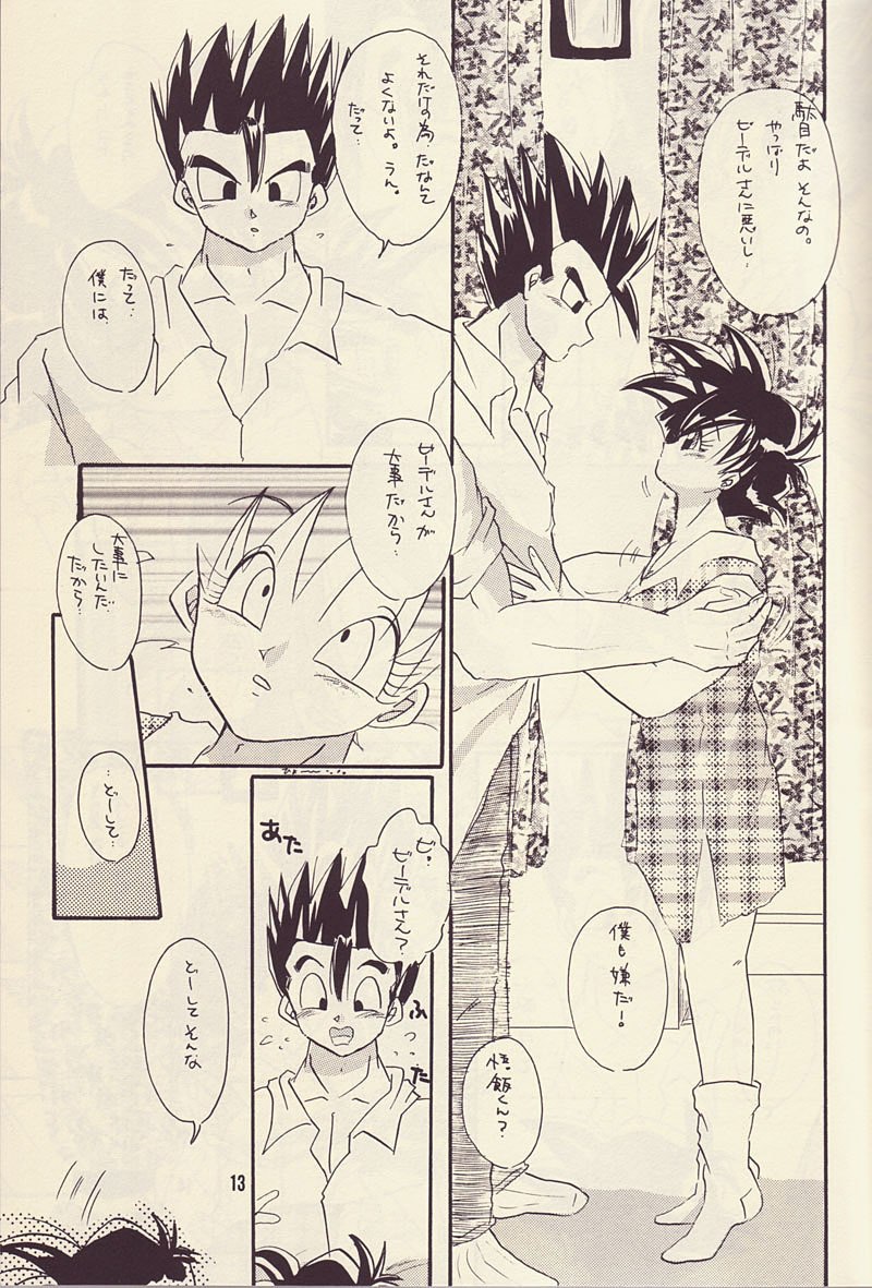 Motto Aishi Ai Masho (Dragon Ball Z) page 12 preview