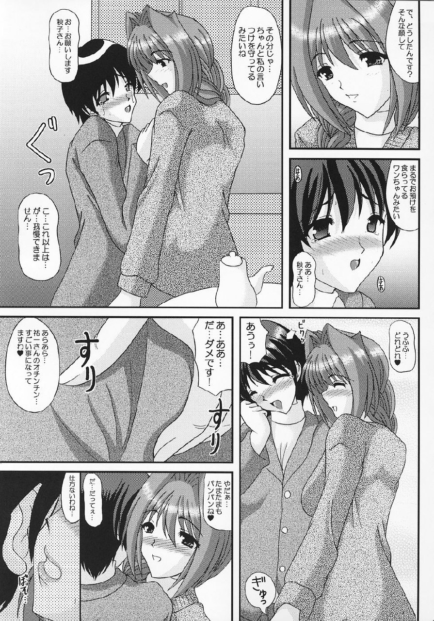 (C69) [Kirei na Oneesan (Izumi Yayoi)] Akiko-san no Motto Ijimete Ageru (Kanon) page 8 preview