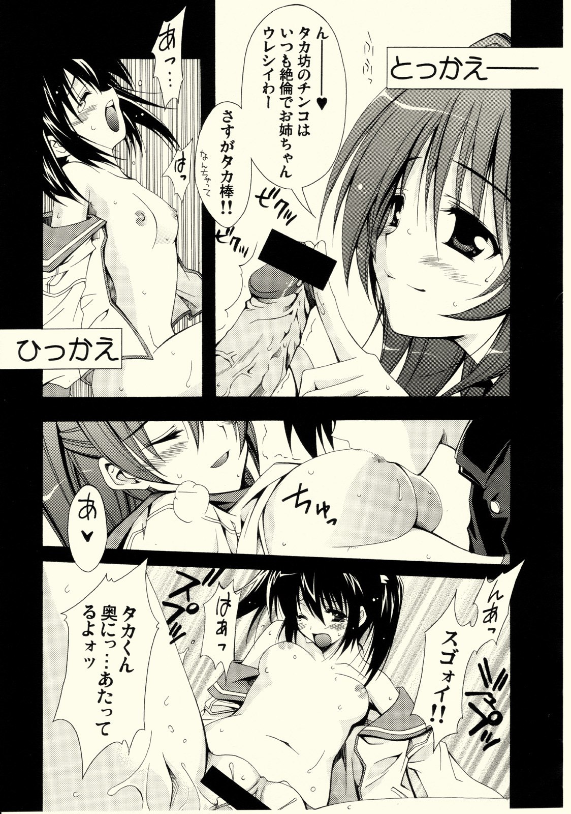 (C68) [MIX-ISM (Inui Sekihiko)] cherryflip (ToHeart2) page 10 preview