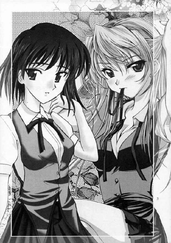 (C68) [POP-WORD (Iwatobi Penta, Nekogami Kajin)] rumble rose (School Rumble) page 2 preview