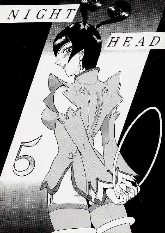 [Circle Taihei-Tengoku (Aratamaru)] NIGHT HEAD 5 (X-Men, The Visions of Escaflowne) page 2 preview