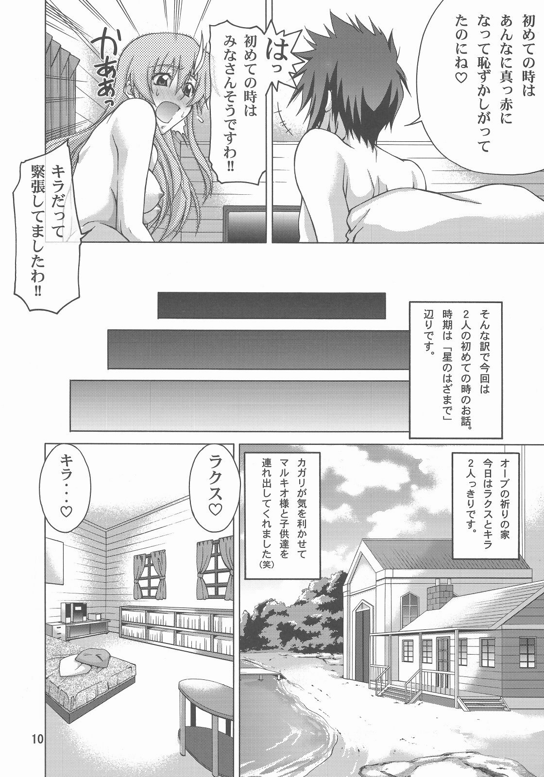 (C73) [GOLD RUSH (Suzuki Address)] A Diva of Healing IV (Gundam SEED DESTINY) page 10 preview