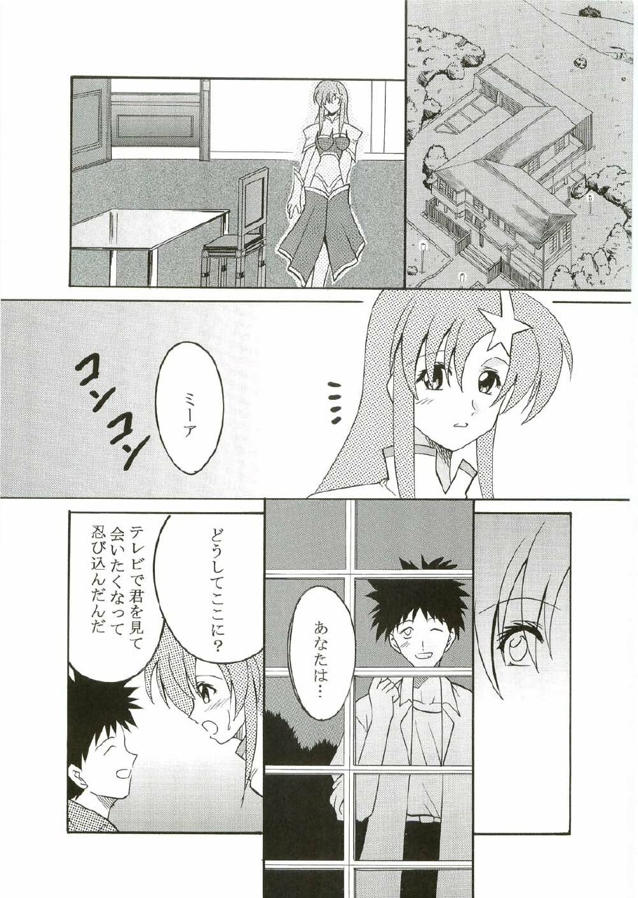 [St. Rio (Kitty, Ishikawa Ippei)] COSMIC BREED 2 (Gundam SEED DESTINY) page 8 preview