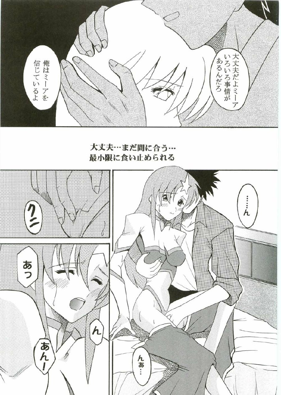 [St. Rio (Kitty, Ishikawa Ippei)] COSMIC BREED 2 (Gundam SEED DESTINY) page 10 preview