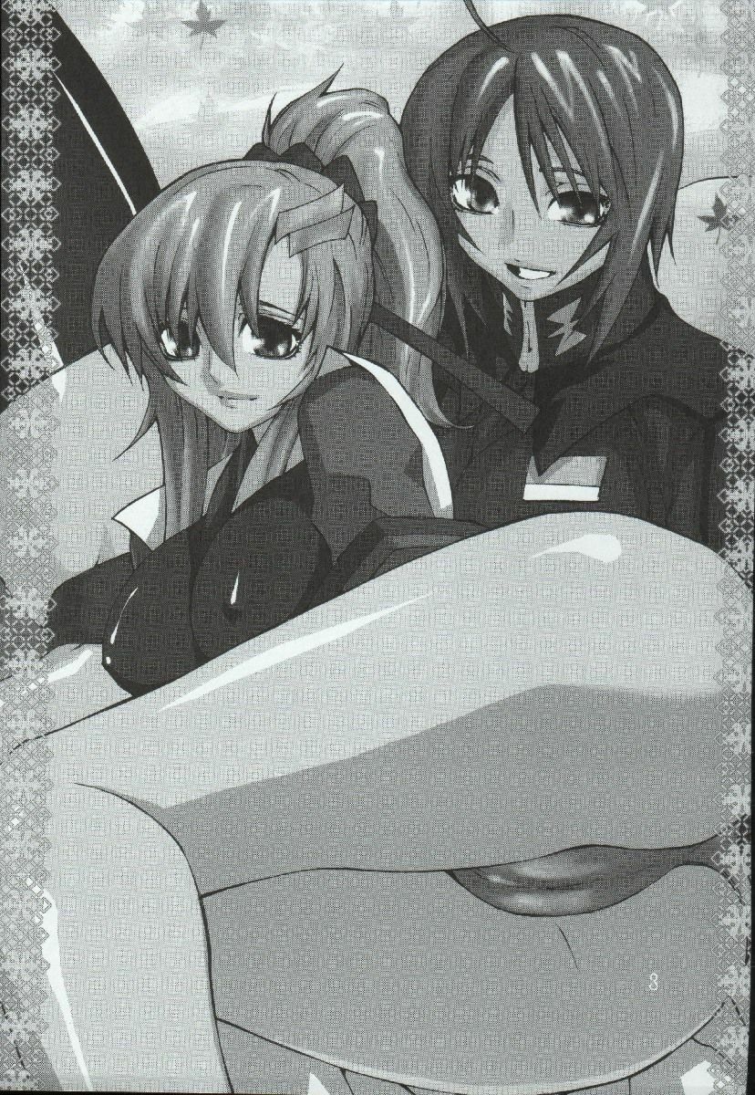 (C68) [Kouchaya (Ootsuka Kotora)] crossroad Hikari (Gundam SEED DESTINY) page 3 preview