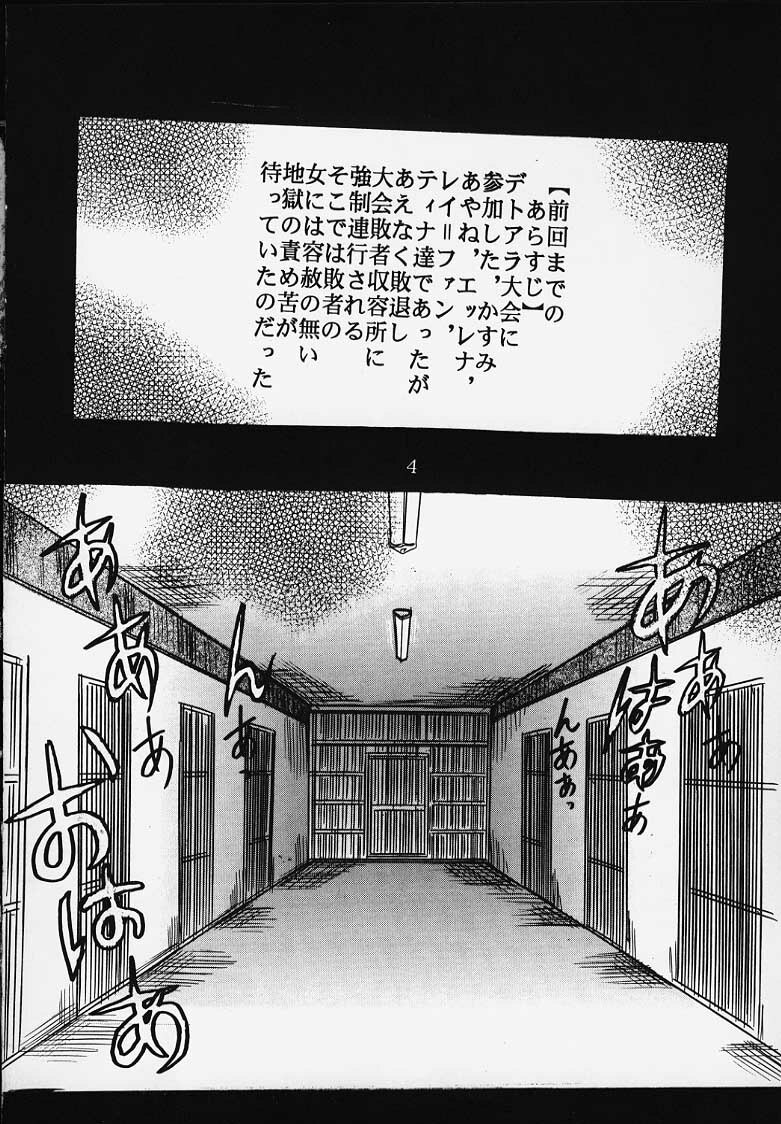 (C58) [St. Rio (Kitty)] DANDIZM 2000 Nakadashi Millennium [SECOND EDITION] (Dead or Alive) page 3 preview