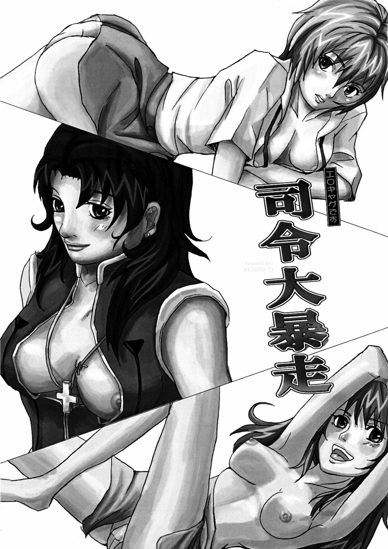 [Nagi Web (Shiba)] Shirei Daibousou (Neon Genesis Evangelion) page 2 preview