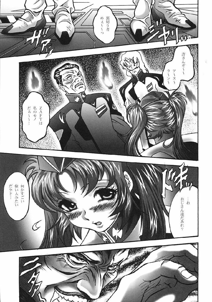 [STUDIO HAMMER ROCK (Itadaki Choujo)] Ikenie Shimai (Gundam Seed Destiny) page 6 preview