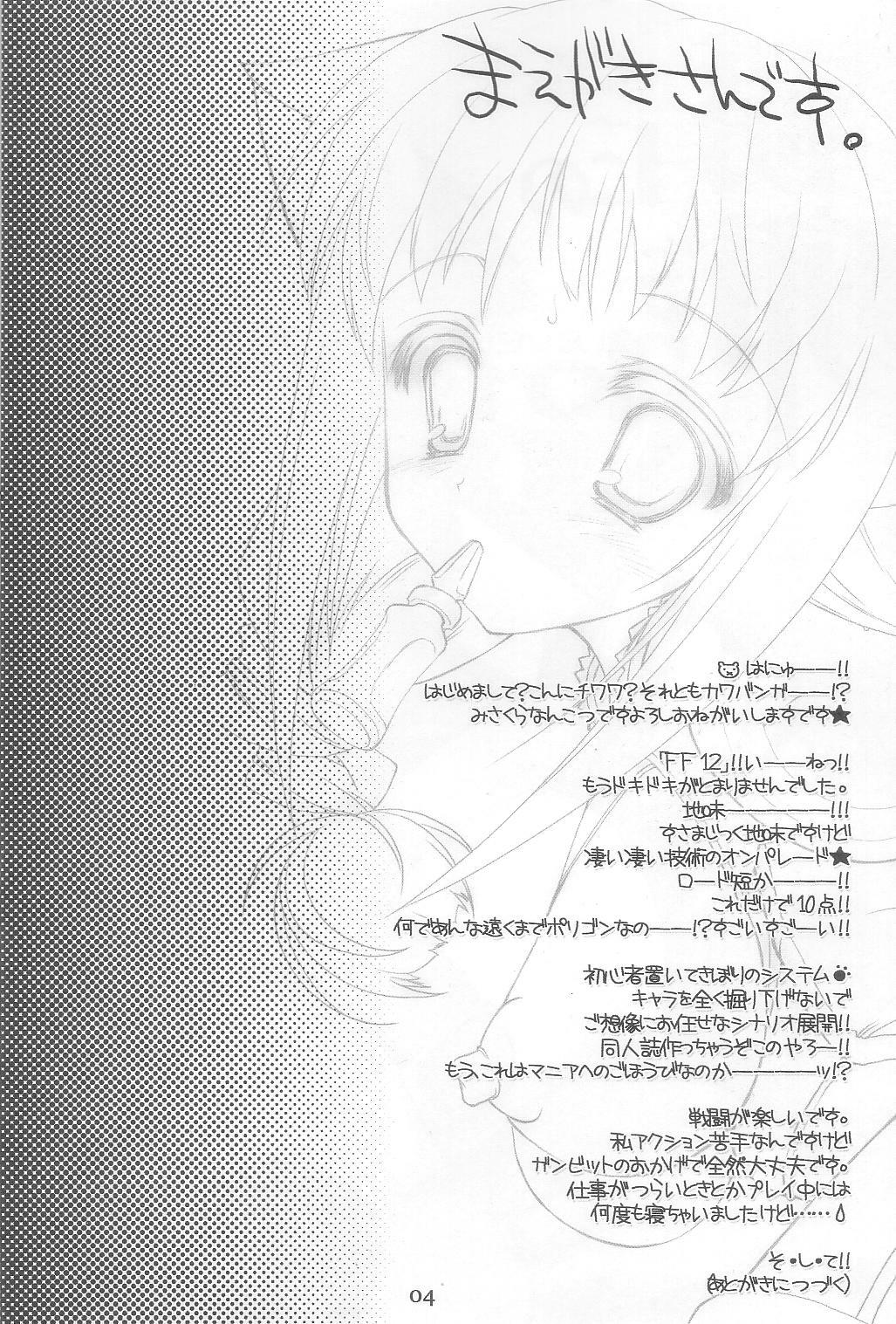 (Comic Castle 2006) [HarthNir (Misakura Nankotsu)] Haou no Tamago-tachi LEVEL 01 (Final Fantasy XII) page 4 preview