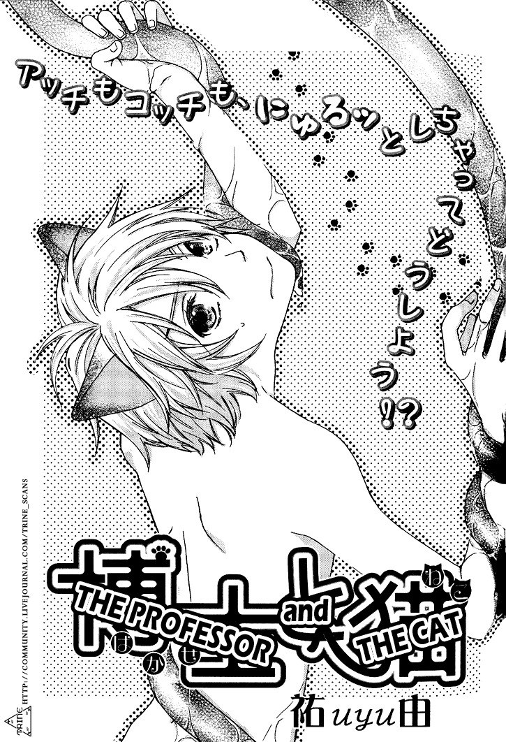 The Professor and the Cat -Yaoi- page 3 preview