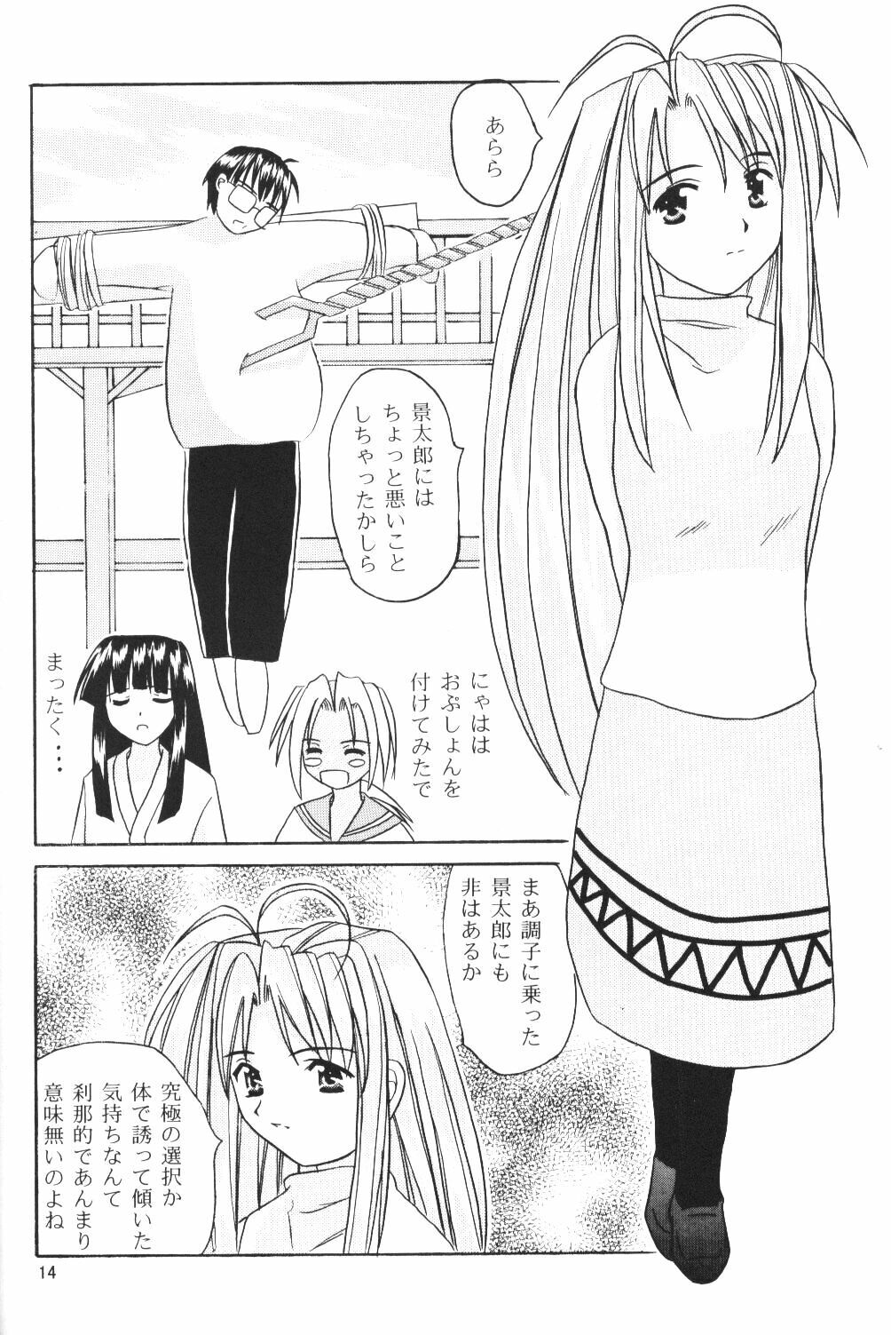 (SC7) [Hikari no Shinden (Koukami Sayana)] Naru Moe 2 (Love Hina) page 12 preview