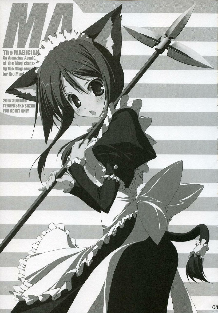 (C72) [Tennenseki (Suzuri)] MA (MAgician's Academy) page 2 preview