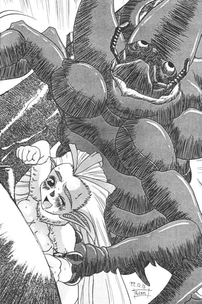 (C56) [Acid Noel (Mitsuki Rintarou)] Midnight Neurotic Report (Berserk, Yuukyuu Gensoukyoku 2) page 11 preview