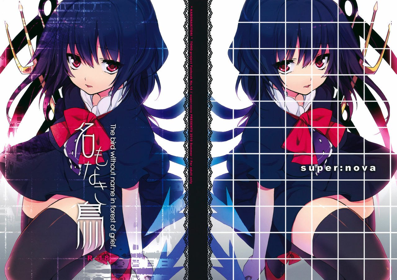 (C78) [super:nova (Yukimachi Tounosuke)] Na Mo Naki Tori - The bird without name in forest of grief. (Touhou Project) [English] [CGRascal]