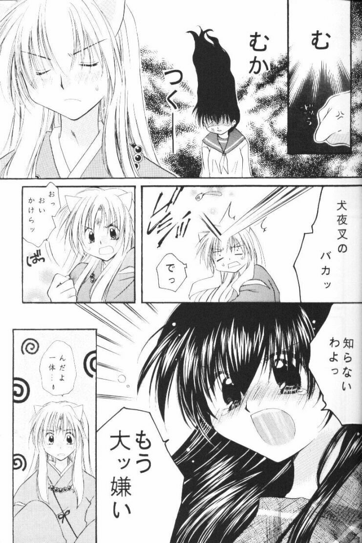 (CR33) [Sakurakan (Seriou Sakura)] Hoshikuzu Drop (Inuyasha) page 10 preview
