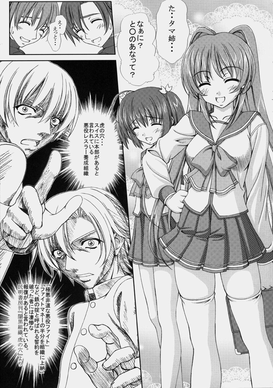 (C68) [Tiny Feather (Sin-Go)] Complex (ToHeart 2) page 4 preview