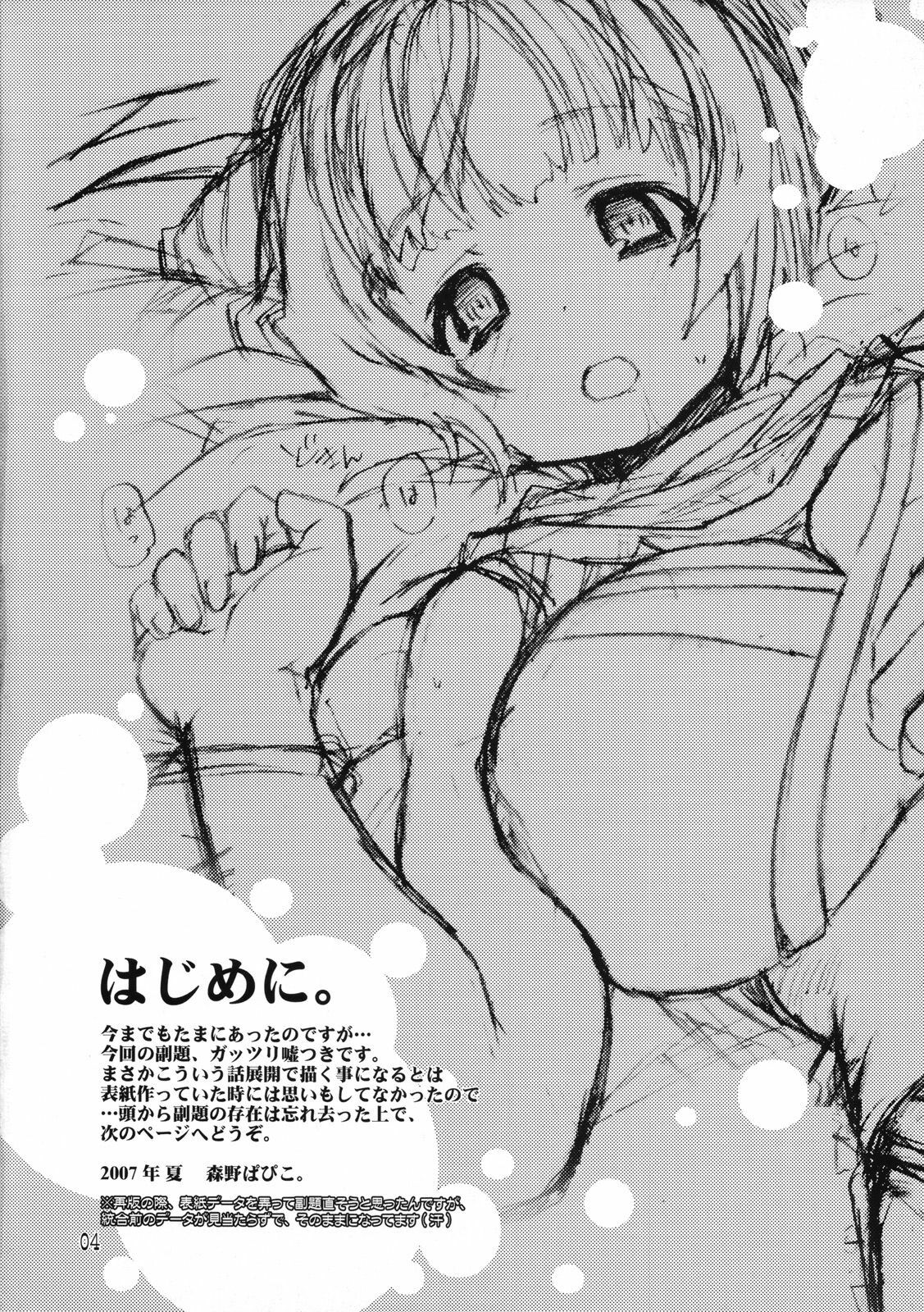 (C72) [Seinansei ni Kagayakeru Hoshi (Morino Papiko)] Ragnarok Yawa Level.10 (Ragnarok Online) page 3 preview