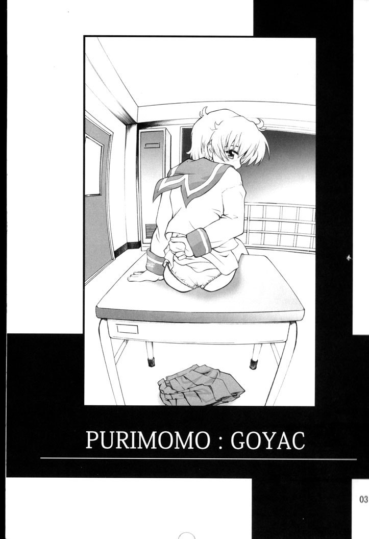(C67) [PURIMOMO (Goyac)] Nenene's Doujinshi Panic!! 2 (Read or Die) page 2 preview