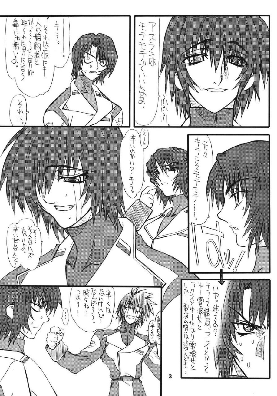 [Power Slide (Uttorikun)] Flower Children 4 (Gundam SEED DESTINY) page 3 preview