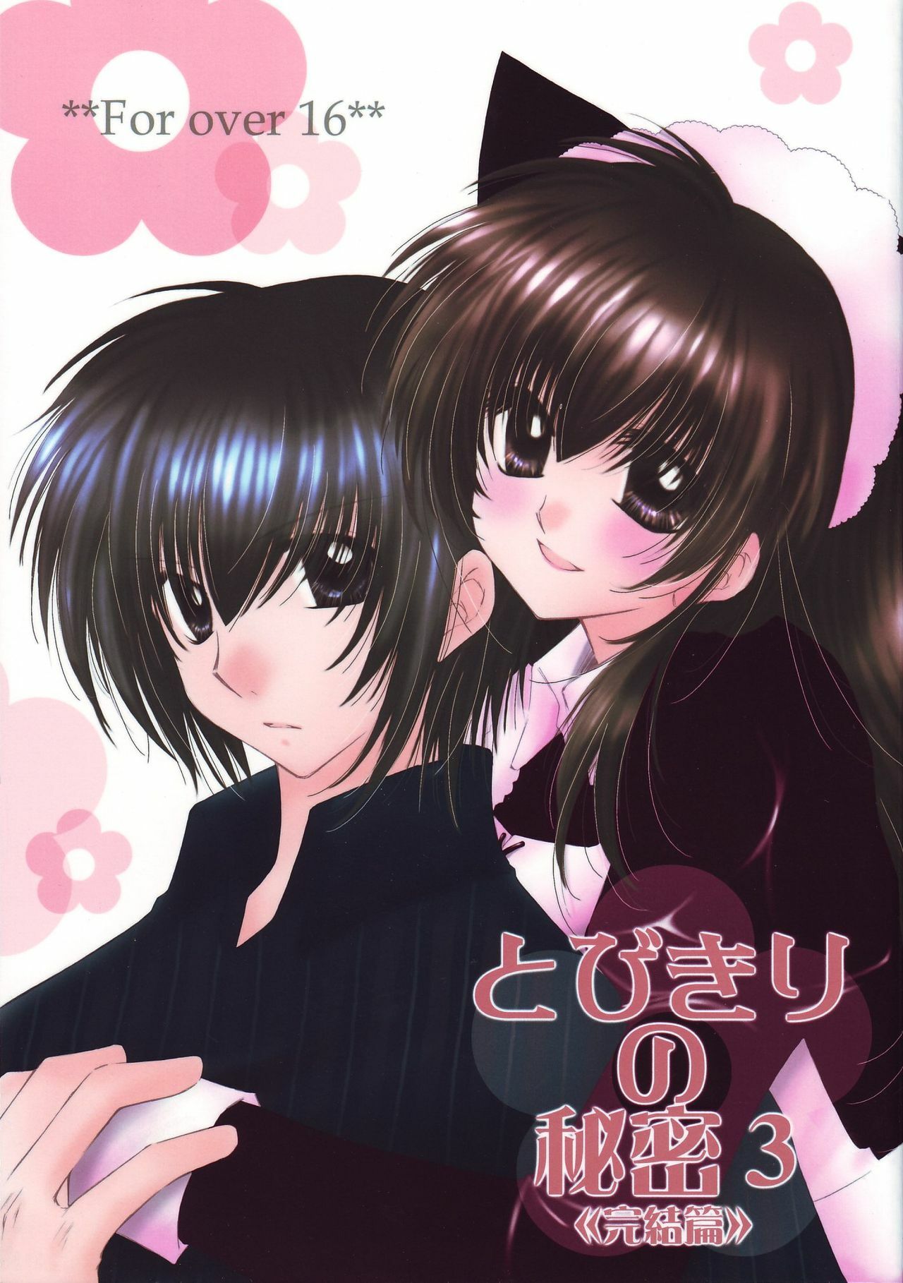 (C68) [Sakurakan (Seriou Sakura)] Tobikiri no Himitsu 3  (Inuyasha)