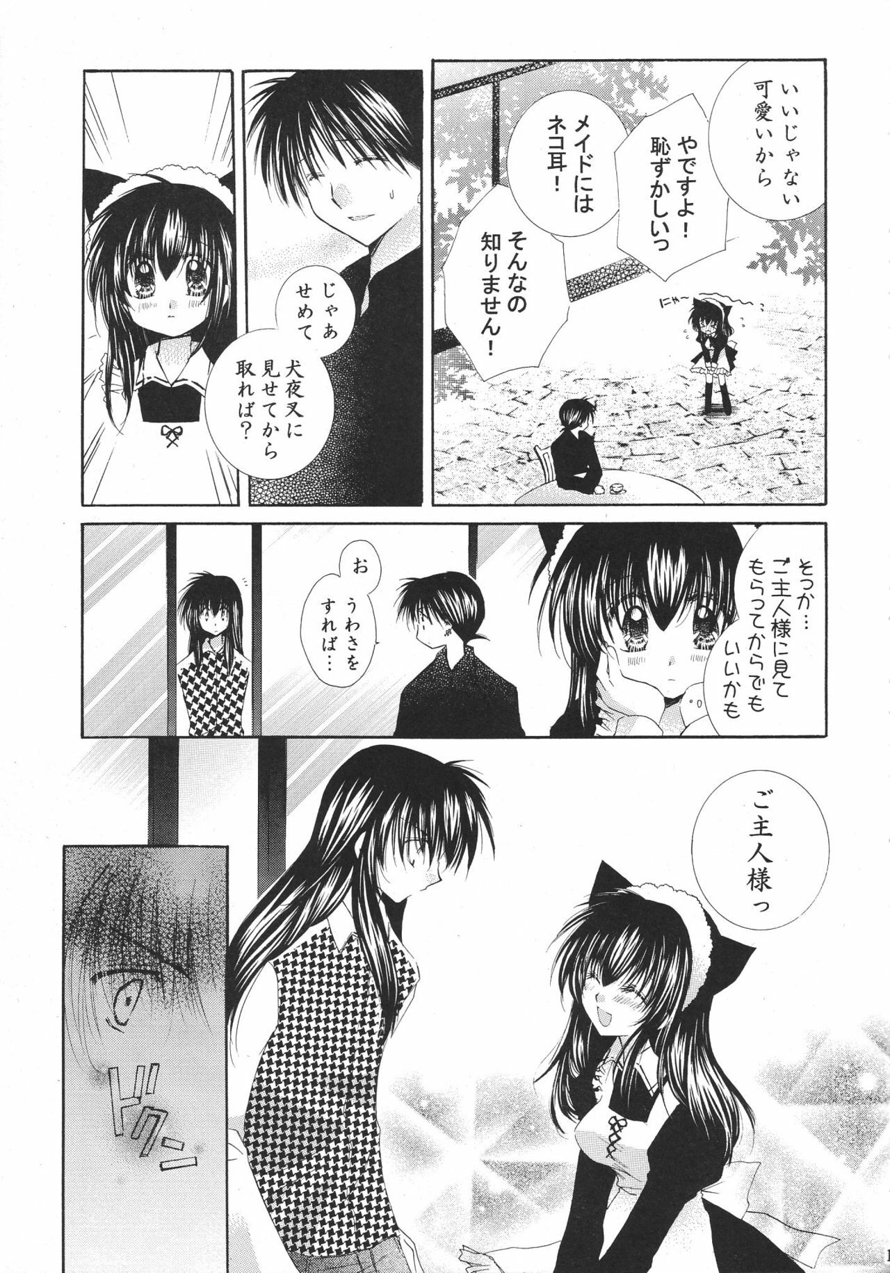 (C68) [Sakurakan (Seriou Sakura)] Tobikiri no Himitsu 3  (Inuyasha) page 11 preview