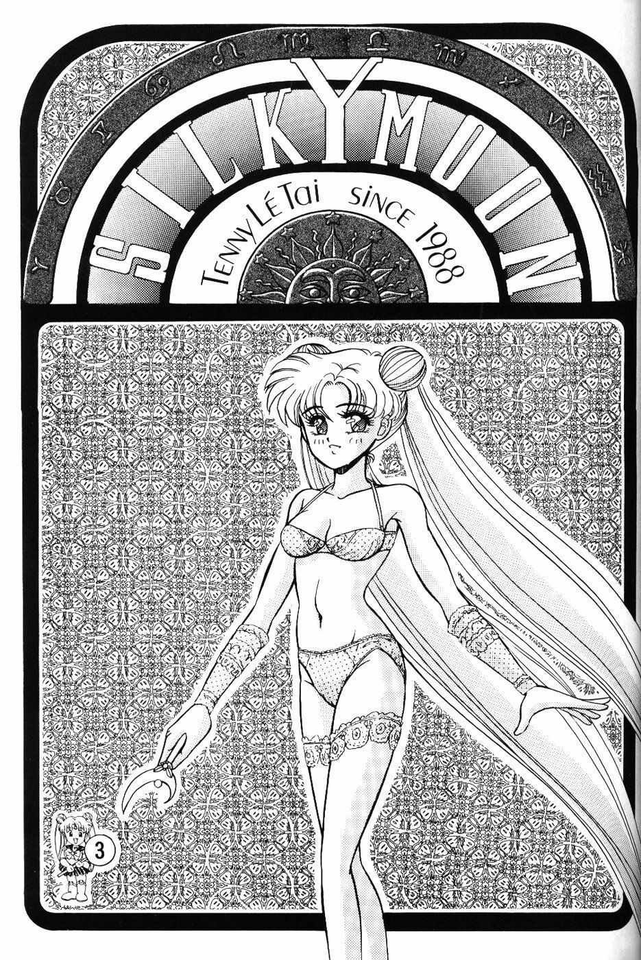(CR13) [Tenny Le Tai (R-Koga, Pia Pia)] Silky Moon (Bishoujo Senshi Sailor Moon) page 3 preview