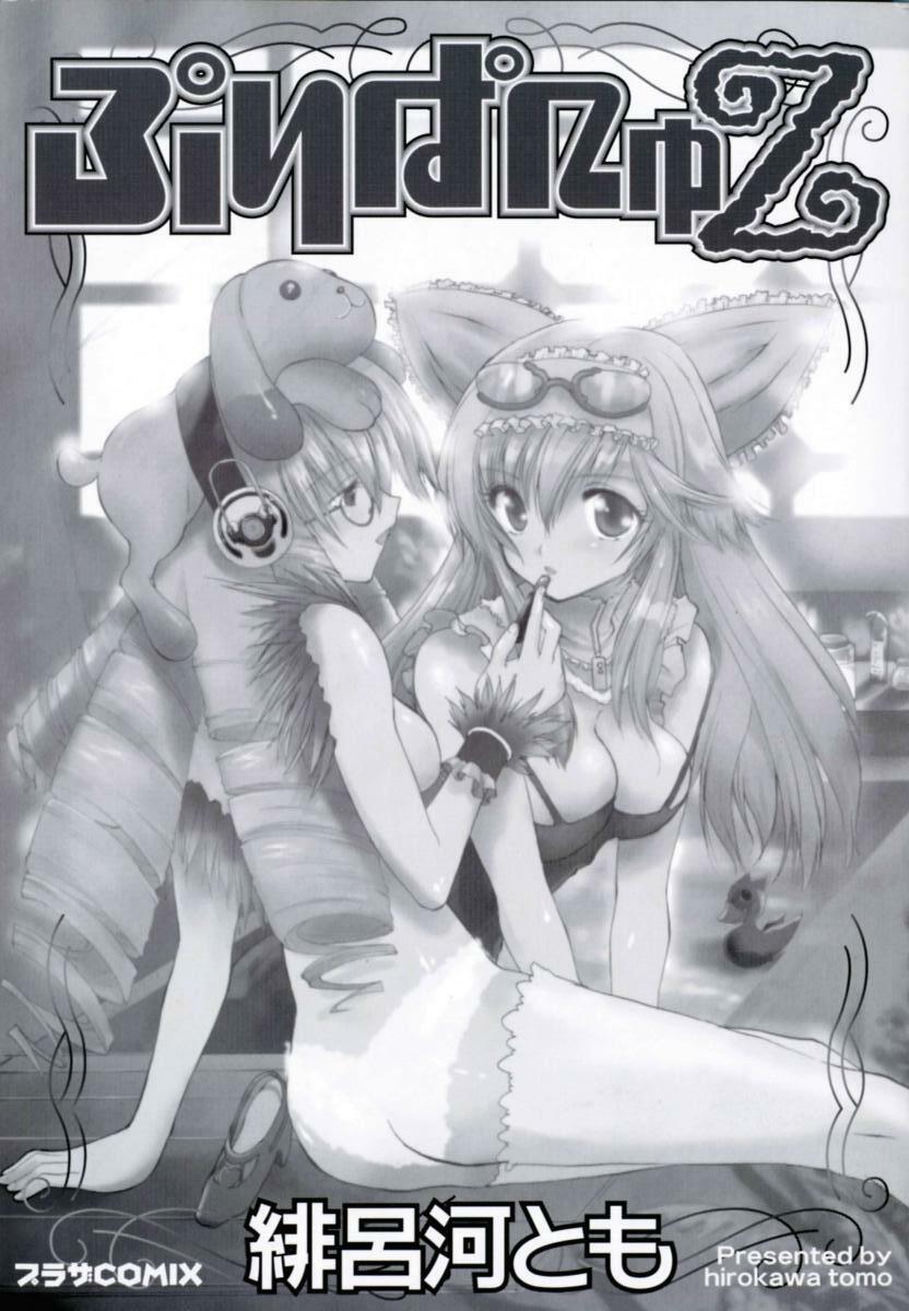 [Hirokawa Tomo] Puripanyu Z page 5 preview