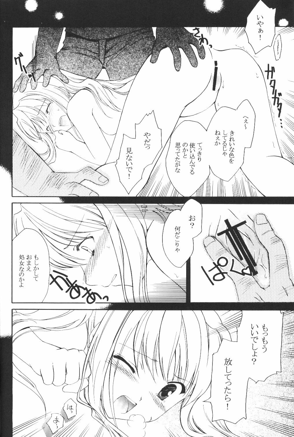 (C65) [Aion (Amou Mari)] Random Ni Saku Nobe No Hana Ni (Full Metal Alchemist) page 11 preview