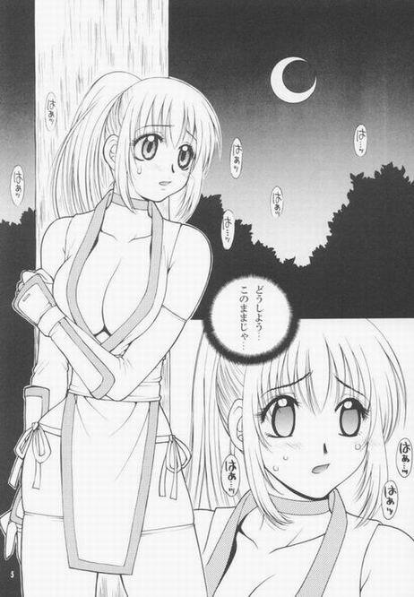 [Hanamaru Mugen Gym] Plastic Girl (Dead or Alive) page 5 preview