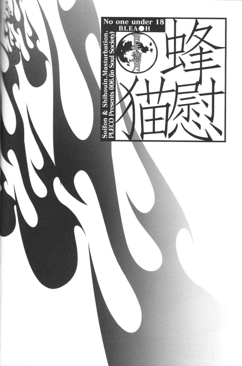 (C70) [Pleco (Chikiko) Full Moon of 100 Years (BLEACH) page 3 preview