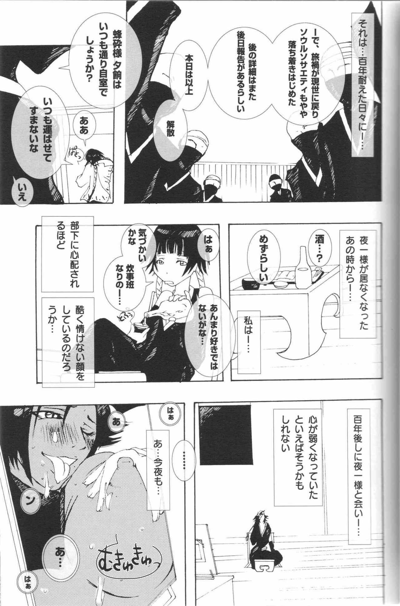 (C70) [Pleco (Chikiko) Full Moon of 100 Years (BLEACH) page 10 preview