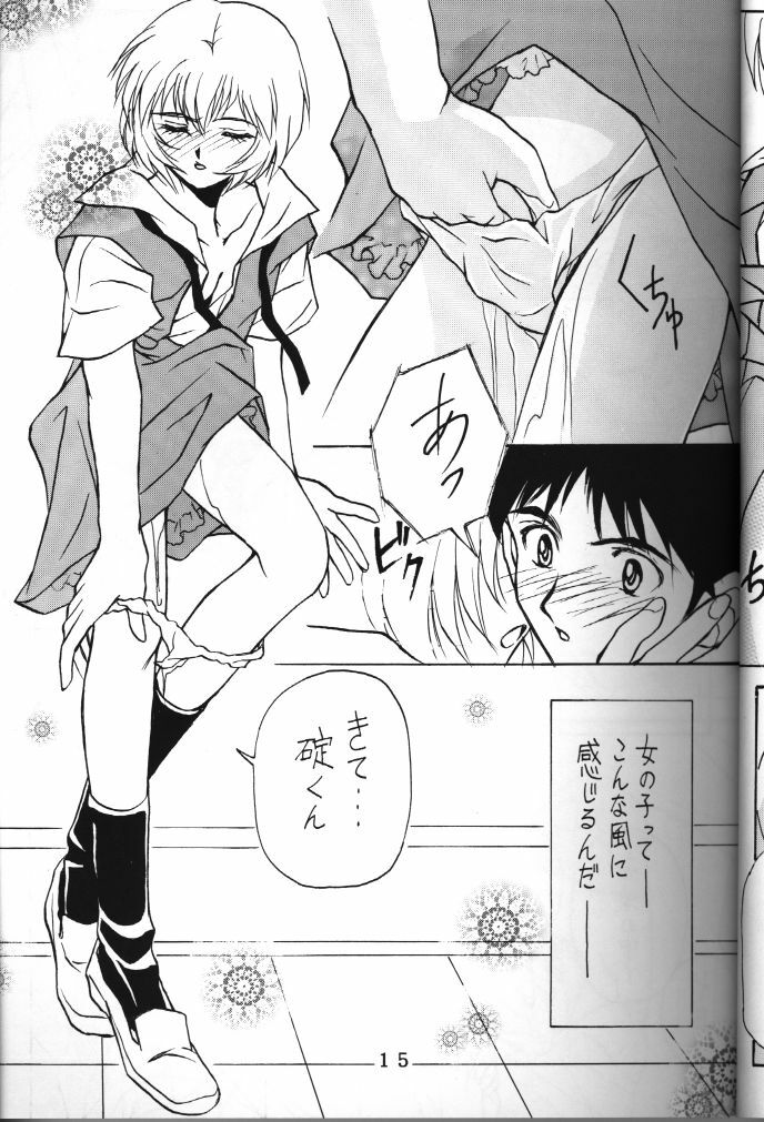 (C50) [Tokimigumi (Various)] T.C. Libra (Neon Genesis Evangelion, Tonde Buurin) [Incomplete] page 12 preview